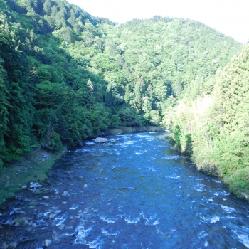 DSCN6676.JPG