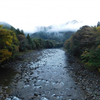 DSCN6771.JPG