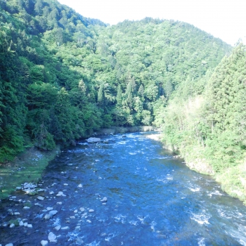 DSCN6773.JPG