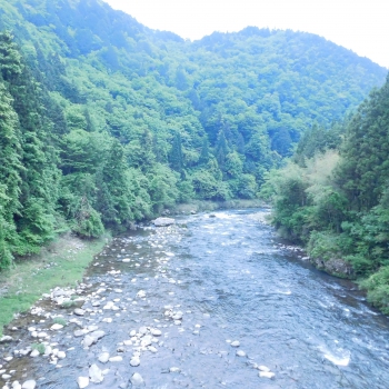 DSCN6777.JPG