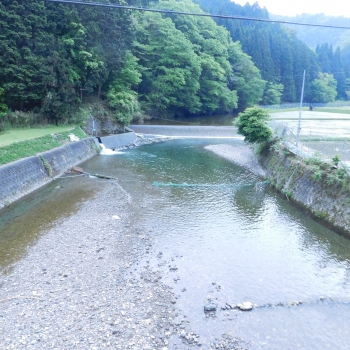 DSCN6784.JPG