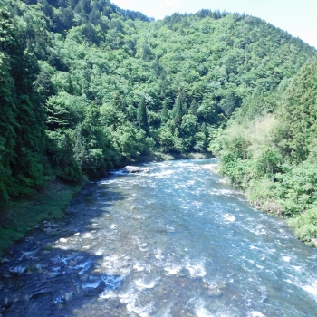 DSCN6833.JPG