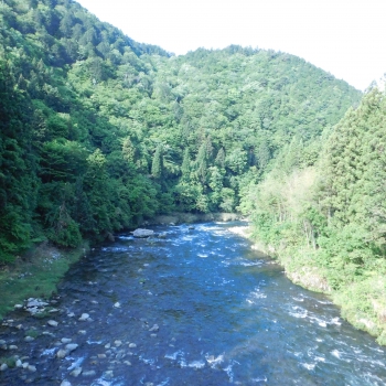 DSCN6837.JPG
