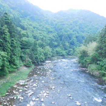 DSCN6849.JPG