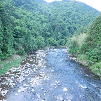 DSCN6857.JPG