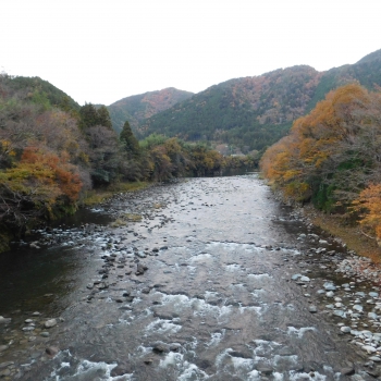 DSCN6933.JPG