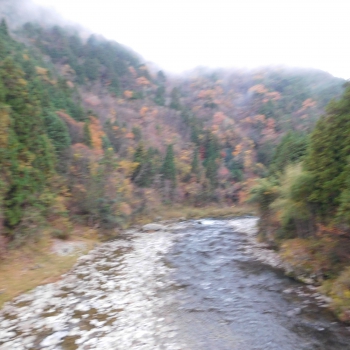 DSCN6942.JPG