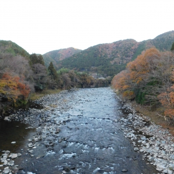 DSCN6953.JPG