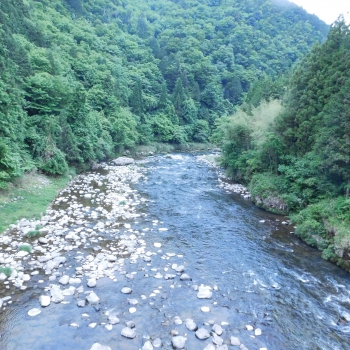 DSCN6989.JPG