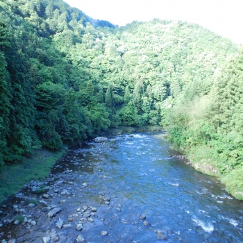 DSCN6993.JPG