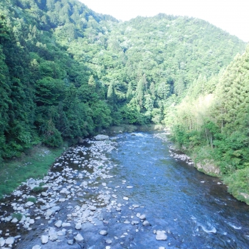 DSCN7035.JPG