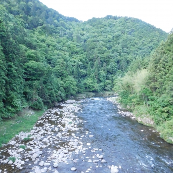DSCN7071.JPG