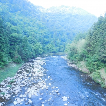 DSCN7075.JPG