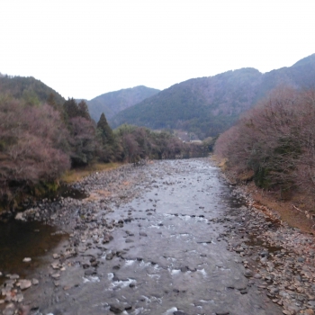 DSCN7084.JPG