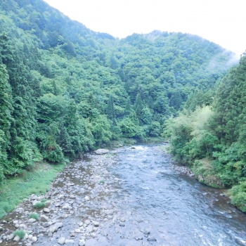 DSCN7087.JPG