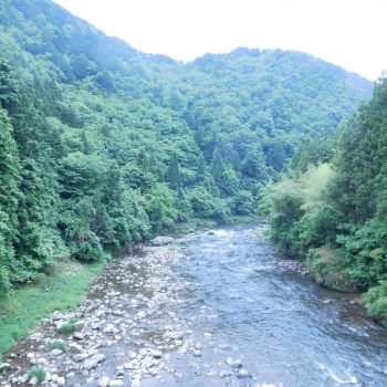 DSCN7091.JPG