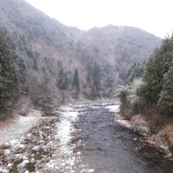 DSCN7093.JPG