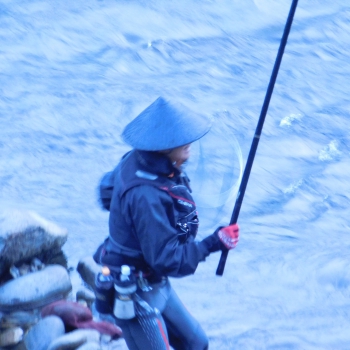 DSCN7101.JPG