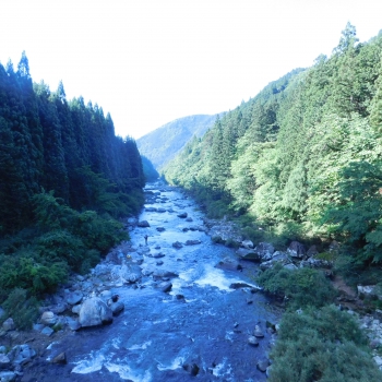 DSCN7164.JPG