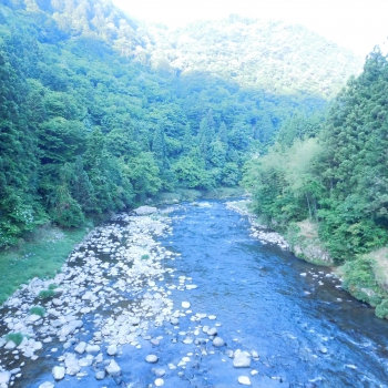 DSCN7174.JPG