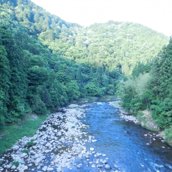 DSCN7182.JPG