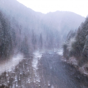 DSCN7187.JPG