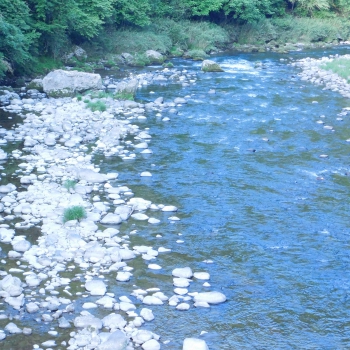 DSCN7187.JPG