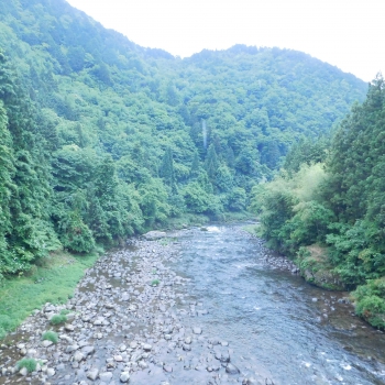 DSCN7198.JPG