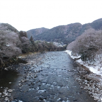DSCN7202.JPG