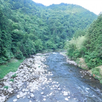 DSCN7206.JPG