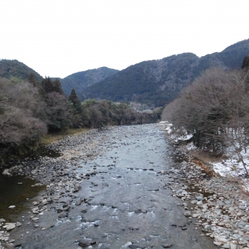 DSCN7232.JPG