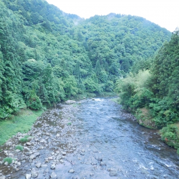 DSCN7252.JPG