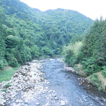 DSCN7256.JPG