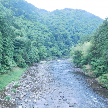 DSCN7260.JPG
