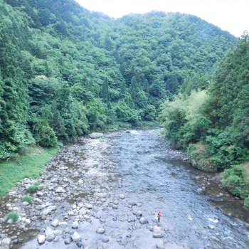DSCN7264.JPG