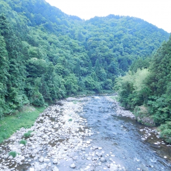 DSCN7277.JPG