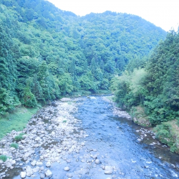 DSCN7281.JPG