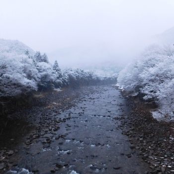 DSCN7285.JPG