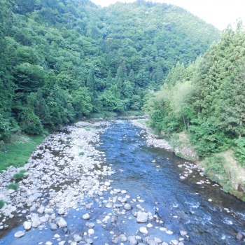 DSCN7285.JPG