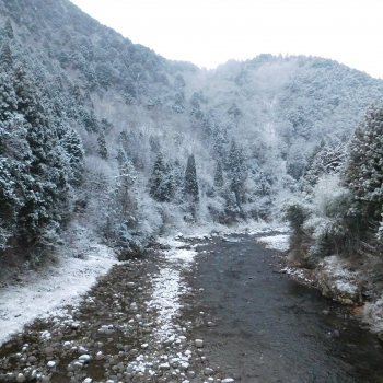 DSCN7290.JPG
