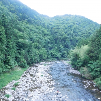 DSCN7293.JPG