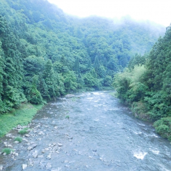 DSCN7301.JPG