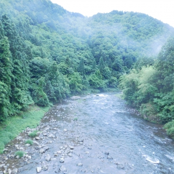 DSCN7305.JPG