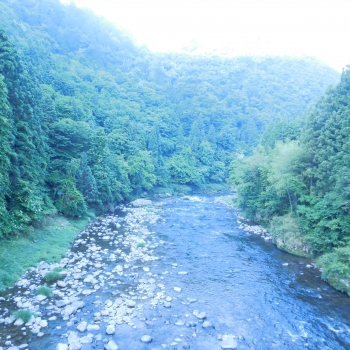 DSCN7309.JPG