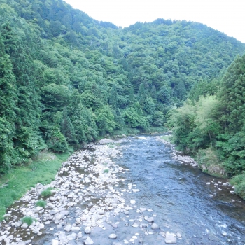 DSCN7313.JPG