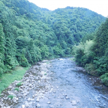 DSCN7317.JPG