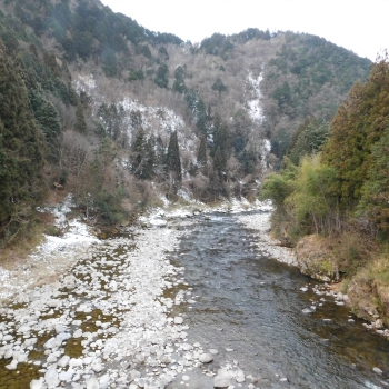 DSCN7323.JPG