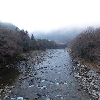 DSCN7338.JPG