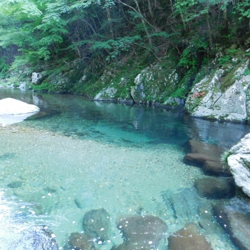 DSCN7385.JPG