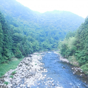 DSCN7394.JPG